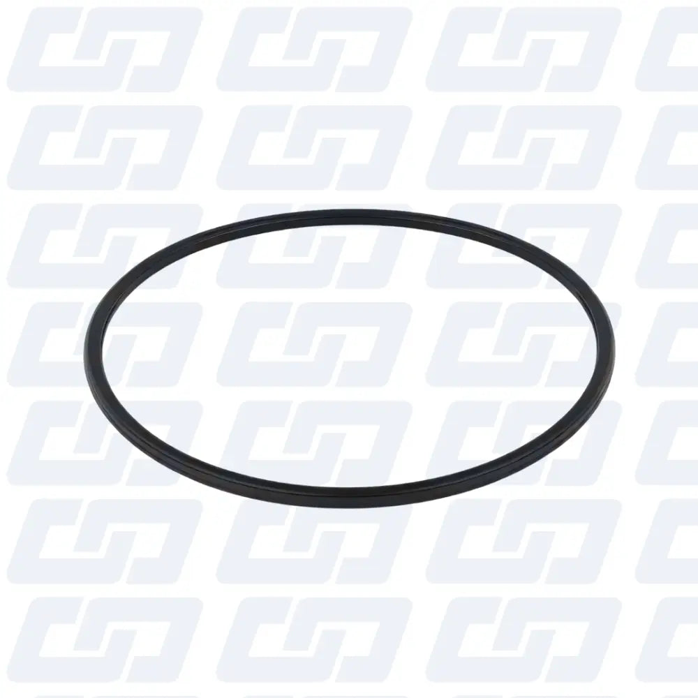 Anillo toroidal de Brida 1410210047 para Bomba de Inyeccion Diesel BOSCH MW - Partes de Bombas